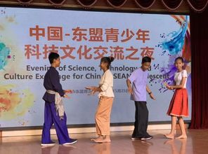 舞動友誼之光 東盟青少年在梧州八中共筑文化交流之夜